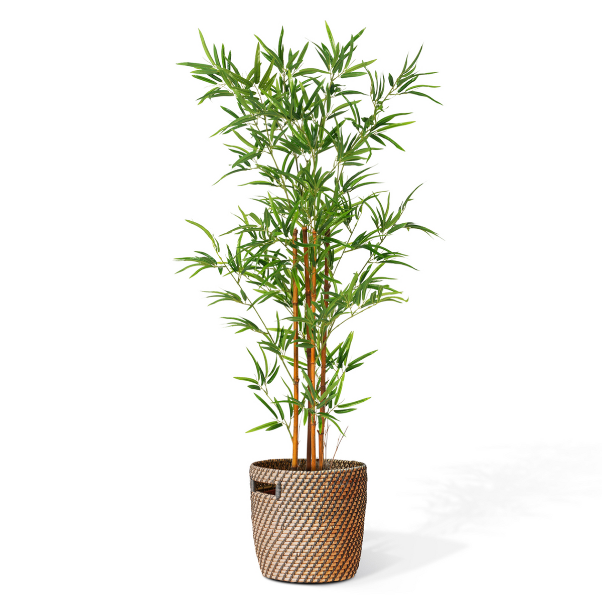 Bambou artificiel hauteur 150 cm